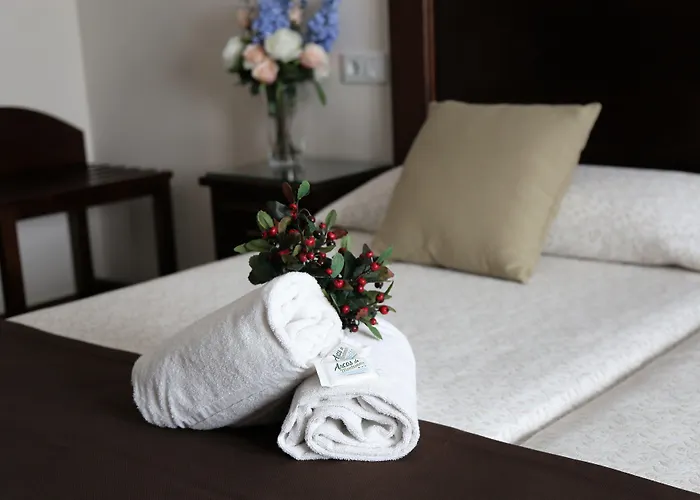 酒店 蒙特马尔阿科斯酒店 托雷莫利诺斯