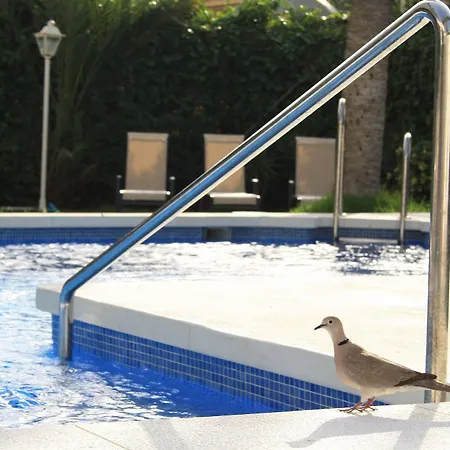 Arcos De Montemar Hotel Torremolinos