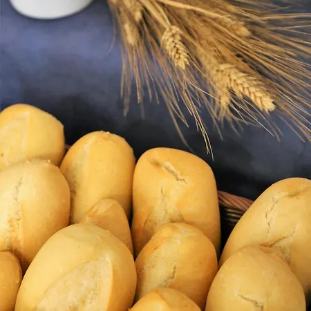 酒店 蒙特马尔阿科斯酒店 托雷莫利诺斯